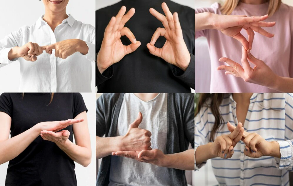 Sign Language Translation | Alsun Translation